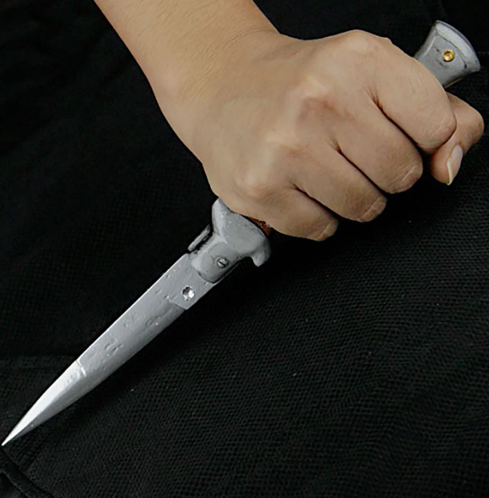 TLoU 2 - Ellie cosplay prop